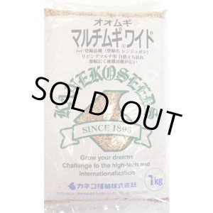 画像: [緑肥]　オオムギ　マルチムギワイド　1kg　カネコ種苗(株)
