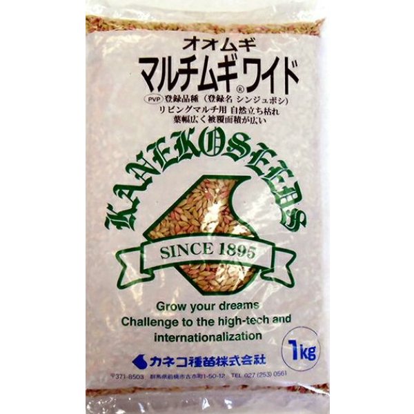 画像1: [緑肥]　オオムギ　マルチムギワイド　1kg　カネコ種苗(株) (1)