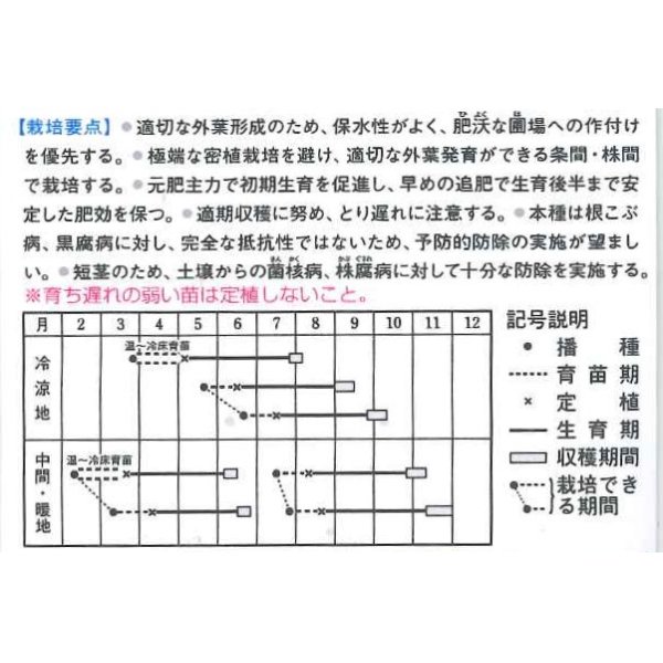 画像2: [キャベツ]　送料無料！　ＢＣＲ龍月　ペレット5000粒　　タキイ種苗（株） (2)