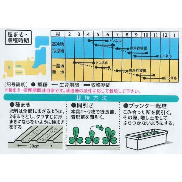 画像2: 送料無料　[小松菜]　ちりめん美緑　5ml　（株）大和農園 (2)