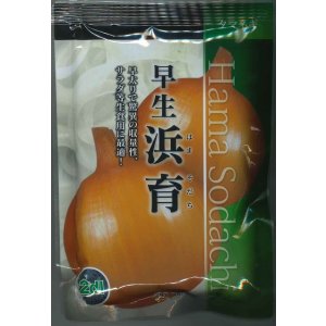 画像: 送料無料　[たまねぎ]　浜育　2dl　カネコ種苗（株）