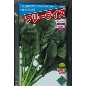 画像: [ほうれんそう]　フリーライズ　(種子サイズ:M)　3万粒　トキタ種苗(株)
