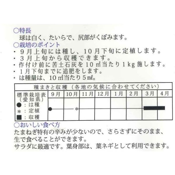 画像2: 送料無料　[たまねぎ]　愛知早生白玉葱　3ml　松永種苗(株) (2)