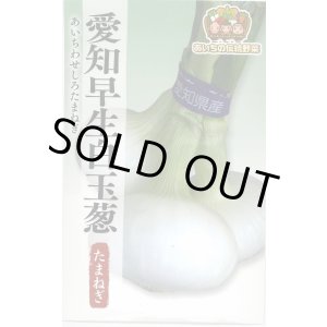 画像: 送料無料　[たまねぎ]　愛知早生白玉葱　3ml　松永種苗(株)