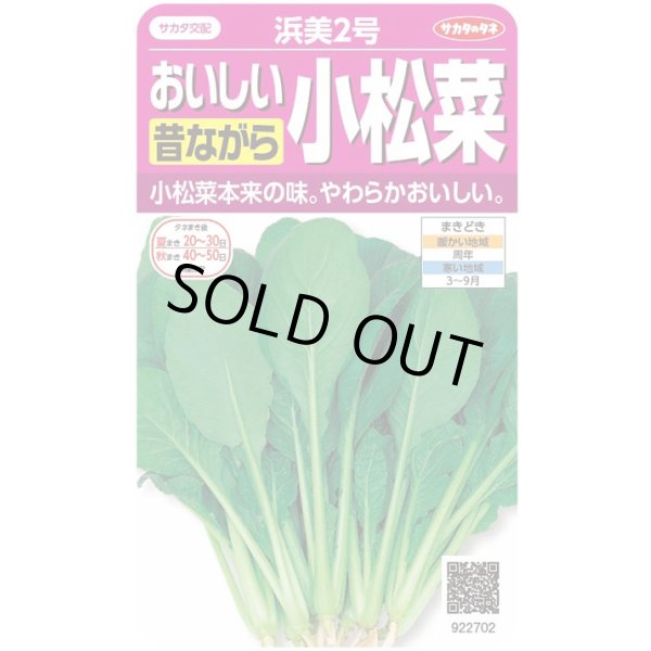 画像1: 送料無料　[小松菜]　浜美2号　約2000粒　(株)サカタのタネ　実咲350（002947） (1)