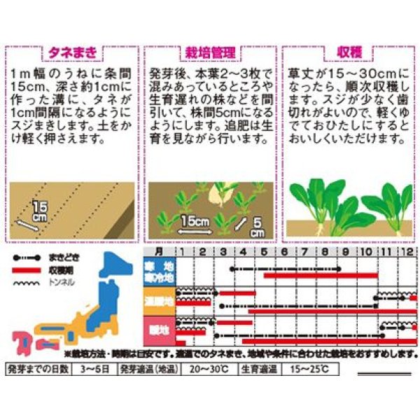 画像2: [小松菜]　浜美2号　約2000粒　サカタ交配　実咲 (2)