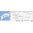 画像2: [ほうれんそう]　伸兵衛　　40ml  タキイ種苗（株） 　RF (2)