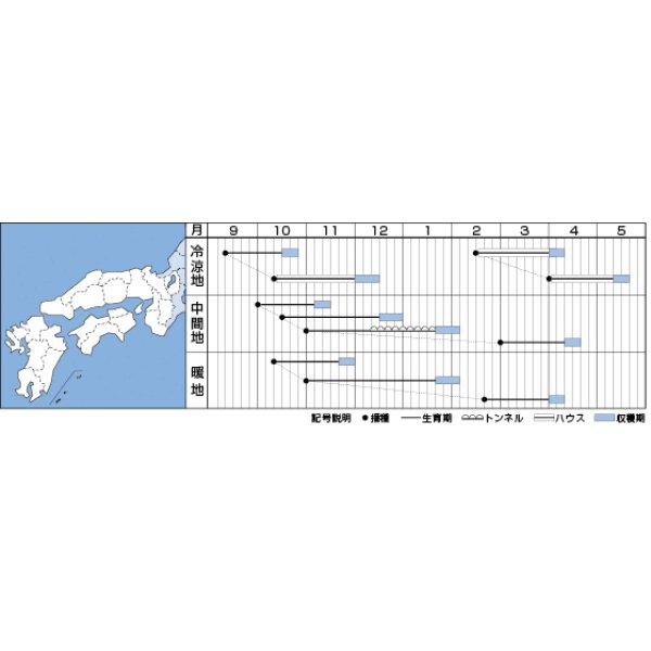 画像2: 送料無料　[ほうれんそう]　伸兵衛　40ml　タキイ種苗(株)　RF (2)