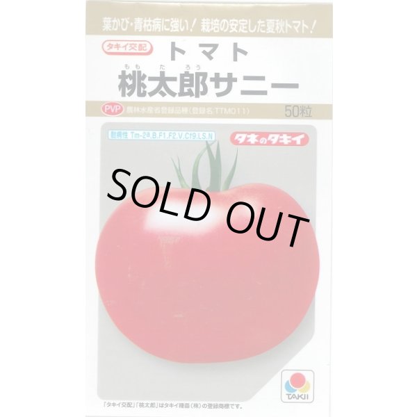 画像1: 送料無料　[トマト/桃太郎系]　桃太郎　サニー　50粒　貴種(コートしてません)　タキイ種苗(株) (1)