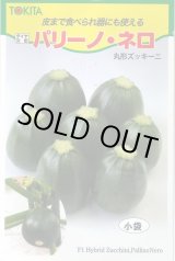 画像: 送料無料　[ズッキーニ]　パリーノシリーズ　10粒　ネロ　トキタ種苗(株)