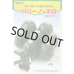 画像: 送料無料　[ズッキーニ]　パリーノシリーズ　10粒　ネロ　トキタ種苗(株)