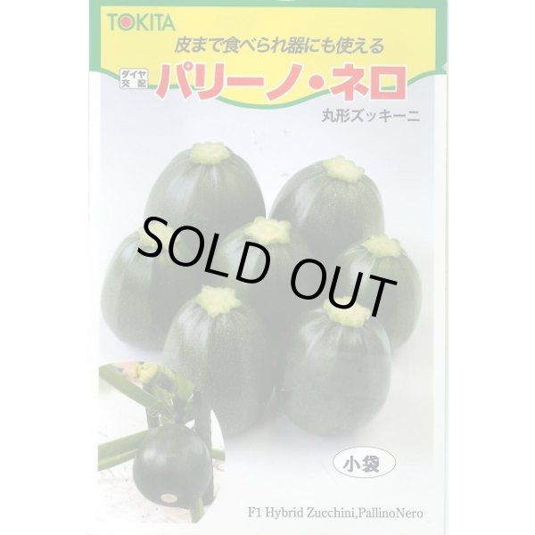 画像1: 送料無料　[ズッキーニ]　パリーノシリーズ　10粒　ネロ　トキタ種苗(株) (1)
