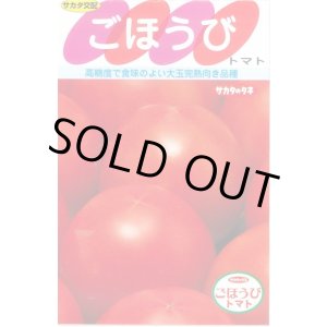 画像: [トマト] ごほうび 100粒 (株)サカタのタネ