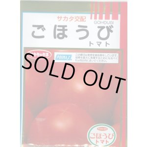 画像: 送料無料 [トマト] ごほうび 1000粒 (株)サカタのタネ