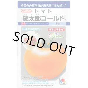 画像: 送料無料　[トマト/桃太郎系]　桃太郎ゴールド　16粒　タキイ種苗(株)　DF