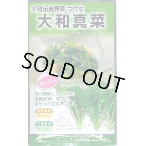 画像: 送料無料 　葉物　大和真菜　10ml 　（株）大和農園