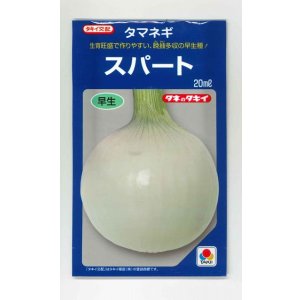 画像: [たまねぎ] スパート 20ml タキイ種苗(株)