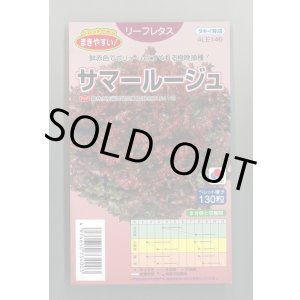 画像: [レタス] リーフレタス サマールージュ ペレット130粒 タキイ種苗