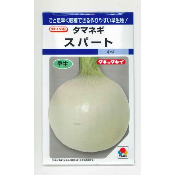 画像1: 送料無料　[たまねぎ]　スパート　3.5ml(約340粒)　タキイ種苗(株)　DF (1)
