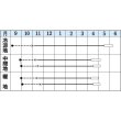 画像2: [キャベツ]　春ひかり七号　2000粒　タキイ種苗（株）　 (2)