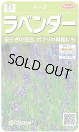画像: 送料無料　[ハーブの種]　ラベンダー　(約60粒)　(株)サカタのタネ　実咲（003192）