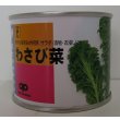 画像1: [葉物]　わさび菜　2dl　中原採種場(株) (1)