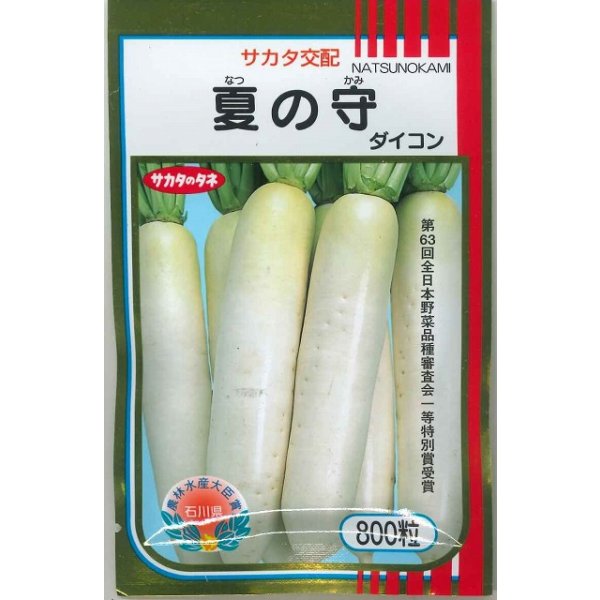 画像1: 送料無料 [大根] 夏の守 800粒 (株)サカタのタネ (1)