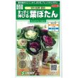 画像1: 花の種 　まっすぐ伸びる葉ぼたん　切り花用混合　約27粒　サカタのタネ（株）実咲250 (1)