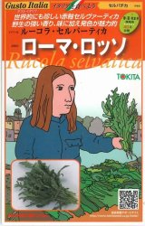 画像: [イタリア野菜]　ローマ・ロッソ　　500粒　 トキタ種苗（株）