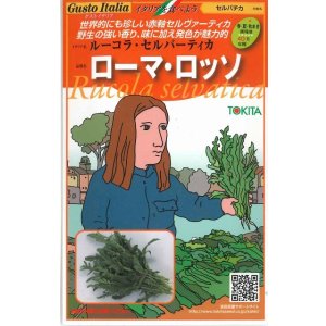 画像: 送料無料　[イタリア野菜]　ローマ・ロッソ　500粒　トキタ種苗(株)