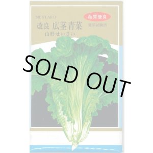 画像: 送料無料　[葉物]　山形せいさい　20ml　山形県種苗株式会社