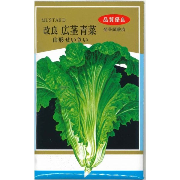 画像1: 山形せいさい 20ml 山形県種苗株式会社 (1)