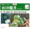 画像2: [キャベツ]　ＢＣＲ龍月　160粒　タキイ種苗（株）　DF (2)