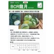 画像5: [キャベツ]　ＢＣＲ龍月　160粒　タキイ種苗（株）　DF (5)