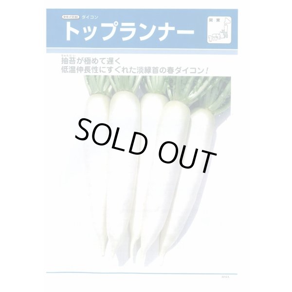 画像2: 送料無料　[大根]　トップランナー3.5ml　タキイ種苗(株)　DF (2)