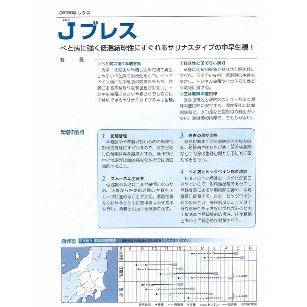 画像4: [レタス]　送料無料！　Ｊブレス　ペレット5000粒　　タキイ種苗（株） (4)