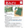 画像2: [いんげん]　恋みどり　1L　タキイ種苗(株) (2)