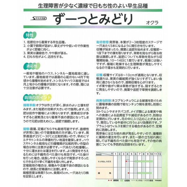 画像3: [オクラ]　ずーっとみどり　約40粒　サカタ交配 実咲 (3)