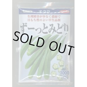 画像: 送料無料　[オクラ]　ずーっとみどり　1000粒　(株)サカタのタネ