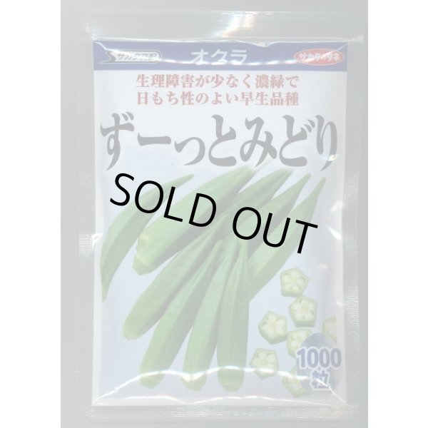 画像1: 送料無料　[オクラ]　ずーっとみどり　1000粒　(株)サカタのタネ (1)