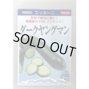 画像: 送料無料　[ズッキーニ]　ダークヤングマン　100粒　(株)サカタのタネ
