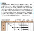 画像2: [とうがらし]　辛コレ　牛角大王　20粒　トキタ種苗（株） (2)