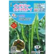 画像1: 送料無料　[とうがらし]　辛コレ　インドジン・ウソツカナイ　20粒　トキタ種苗(株) (1)