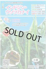 画像: 送料無料　[とうがらし]　辛コレ　インドジン・ウソツカナイ　20粒　トキタ種苗(株)
