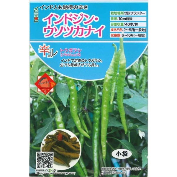 画像1: 送料無料　[とうがらし]　辛コレ　インドジン・ウソツカナイ　20粒　トキタ種苗(株) (1)