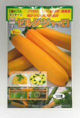 画像: 送料無料　[ズッキーニ]　ゼルダ・ジャッロ　100粒　トキタ種苗(株)