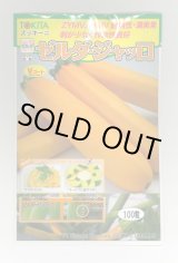 画像: 送料無料　[ズッキーニ]　ゼルダ・ジャッロ　100粒　トキタ種苗(株)