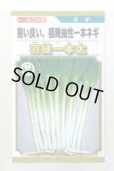 画像: 送料無料　[ねぎ]　羽緑一本太葱(コートしてません)5ml(およそ1,000粒）　(株)トーホク