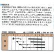 画像2: 送料無料　[とうがらし]　辛コレ　インドジン・ウソツカナイ　20粒　トキタ種苗(株) (2)