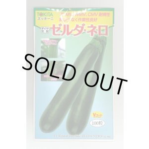 画像: 送料無料　[ズッキーニ]　ゼルダ・ネロ　100粒　トキタ種苗(株)